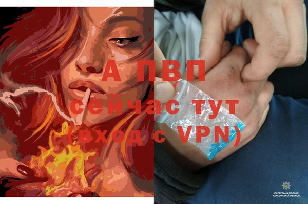 марки lsd Верхний Тагил
