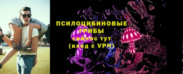 СК Верея