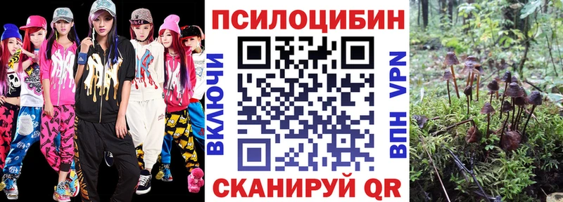 Купить закладки  Кингисепп  Галлюциногенные грибы прущие грибы 